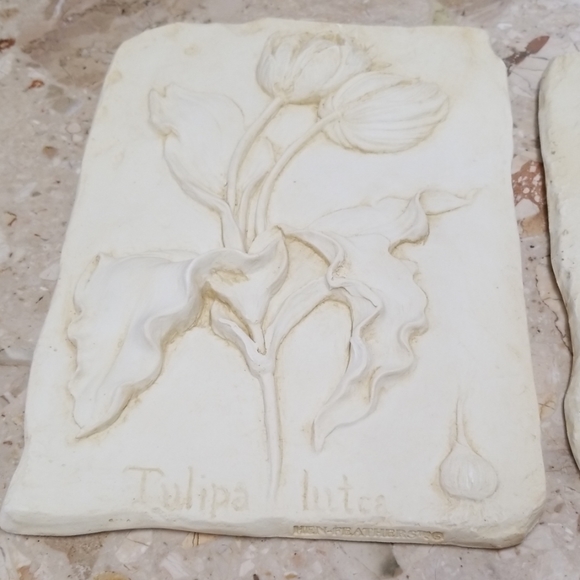 HenFeathers Wall Decor Vintage Henfeathers Tulip Daffodil Wall